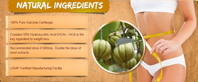 Garcinia cambogia extract