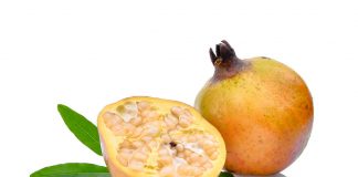 All You Need to Know About White Pomegranates: Information and Facts White pomegranates facts